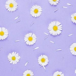 Meet your Posher, Aurora